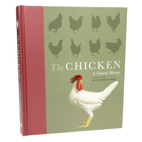 Stock image for The Chicken: A Natural History for sale by Pearlydewdrops