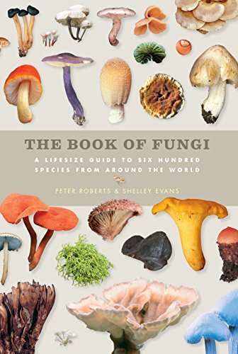 9781908005854: The Book of Fungi: A Life-Size Guide to Six Hundred Species From Around The World