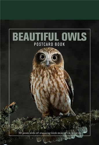 9781908005922: Beautiful Owls Postcard Book: 30 Postcards of Stunning Birds to Keep or Send