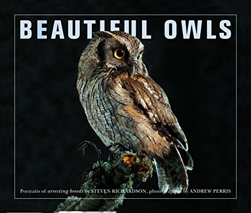 Imagen de archivo de Beautiful Owls : Portraits of Arresting Species from Around the World a la venta por Better World Books: West