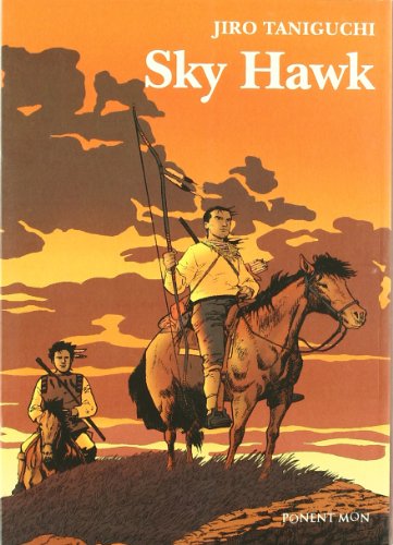 9781908007018: Sky Hawk