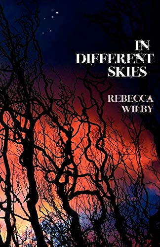 Beispielbild fr In Different Skies zum Verkauf von Better World Books Ltd