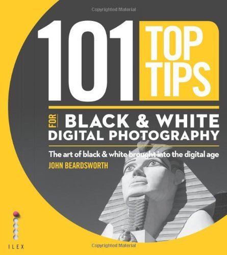 Imagen de archivo de 101 Top Tips for Black & White Digital Photography: The Art of Black & White Brought into the Digital Age (101 Photography Tips) a la venta por WorldofBooks