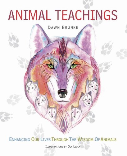 Imagen de archivo de Animal Teachings: Enhancing our lives through the wisdom of animals a la venta por SecondSale