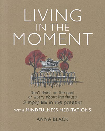 Imagen de archivo de Living in the Moment: Don't dwell on the past or worry about the future. Simply BE in the present with mindfulness meditations a la venta por SecondSale