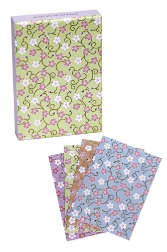 9781908170552: Spring Blossom Classic Notecards
