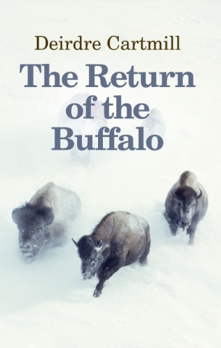 9781908188168: The Return of the Buffalo