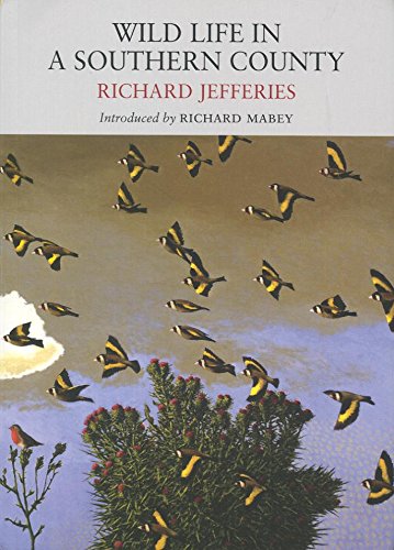 Wild Life in a Southern County (Nature Classics Library) (9781908213006) by Jefferies, Richard