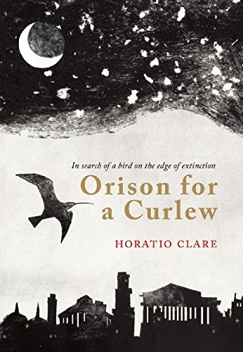 9781908213334: Orison for a Curlew: In Search for a bird on the edge of extinction