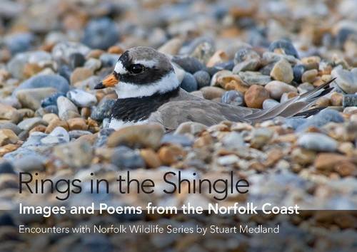 Beispielbild fr Rings in the Shingle: Images and Poems from the Norfolk Coast (Encounters with Norfolk Wildlife): 1 (Words and Images of Natural Norfolk) zum Verkauf von WorldofBooks