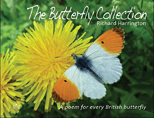 Beispielbild fr The Butterfly Collection zum Verkauf von WorldofBooks