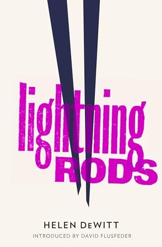 Imagen de archivo de Lightning Rods a la venta por Books Puddle