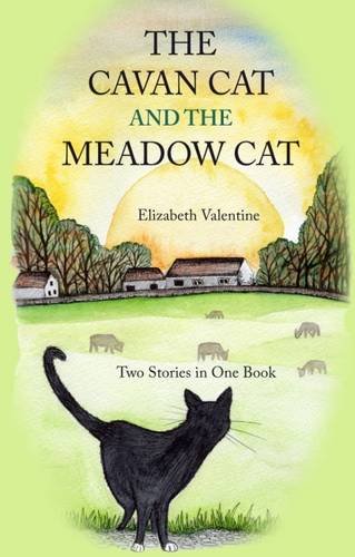 Stock image for The Cavan Cat and the Meadow Cat for sale by WorldofBooks