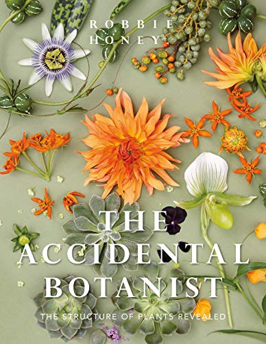 Imagen de archivo de The Accidental Botanist: A Deconstructed Flower Book a la venta por Revaluation Books