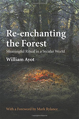 Beispielbild fr Re-Enchanting the Forest: Meaningful Ritual in a Secular World zum Verkauf von WorldofBooks