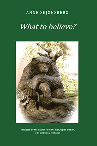 9781908421081: What to Believe? - About Extraordinary Phenomena and Consciousness