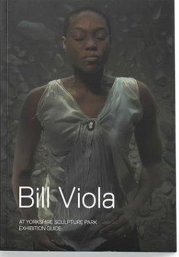 9781908432186: Bill Viola: At Yorkshire Sculpture Park: Exhibition Guide