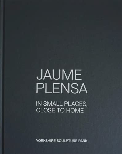 Immagine stock per Jaume Plensa: In Small Places, Close to Home