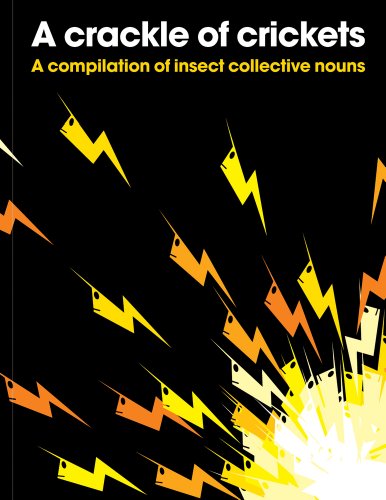 Stock image for A Crackle of Crickets : A Compilation of Insect Collective Nouns for sale by Better World Books: West