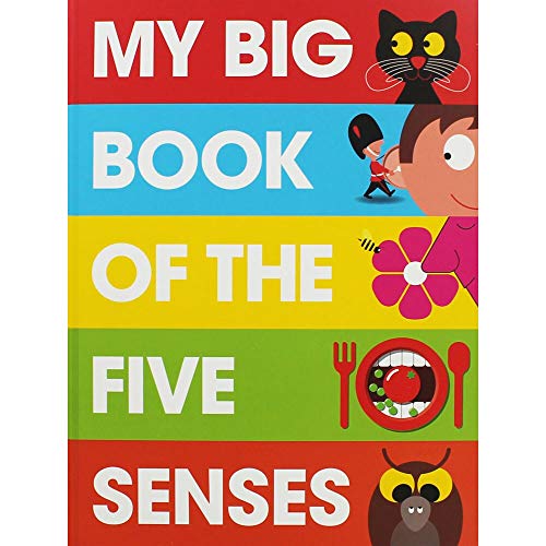 Beispielbild fr My Big Book of the Five Senses zum Verkauf von WorldofBooks