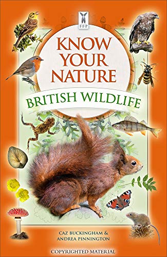 Beispielbild fr Know Your Nature: British Wildlife: Encyclopaedia of Common British Animals, Birds, Flowers, Trees, and More: 1 zum Verkauf von WorldofBooks