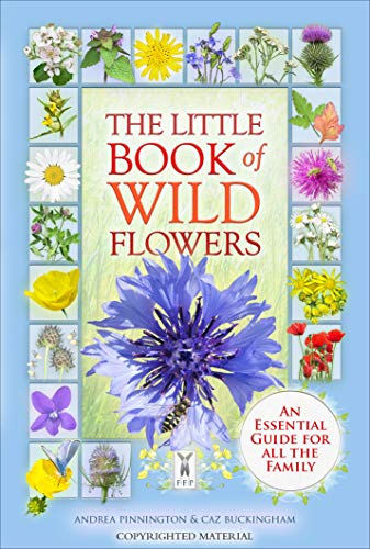 Beispielbild fr The Little Book Of Wild Flowers: An Essential Guide For All The Family zum Verkauf von WorldofBooks