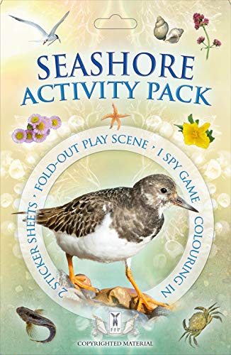 Beispielbild fr Seashore Activity Pack zum Verkauf von Blackwell's