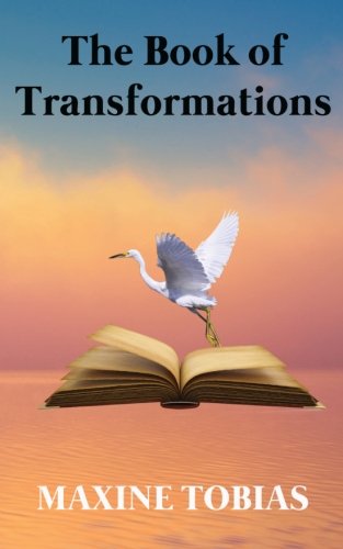 9781908530462: The Book of Transformations: Stories that tell a Story