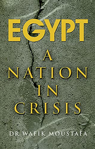 Stock image for Egypt: A Nation in Crisis for sale by Bestsellersuk