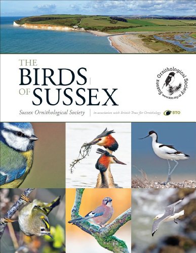 Stock image for The Birds of Sussex for sale by Holt Art Books