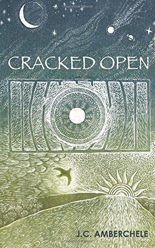 Imagen de archivo de Cracked Open a la venta por suffolkbooks