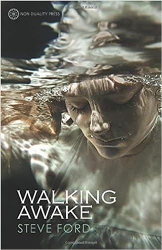 Stock image for Walking Awake for sale by HPB-Emerald