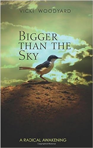 Stock image for Bigger Than the Sky: A Radical Awakening for sale by suffolkbooks