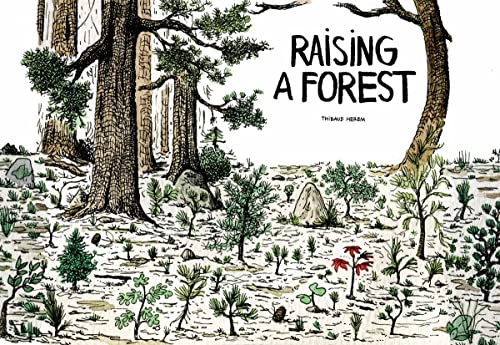 Beispielbild fr Raising a Forest: 1 zum Verkauf von WorldofBooks