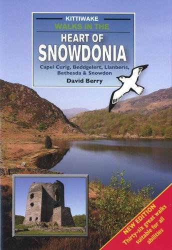 Beispielbild fr Walks in the Heart of Snowdonia zum Verkauf von WorldofBooks