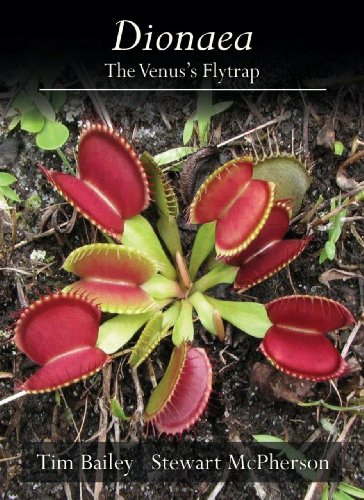 Imagen de archivo de Dionaea: The Venus's Flytrap a la venta por Better World Books