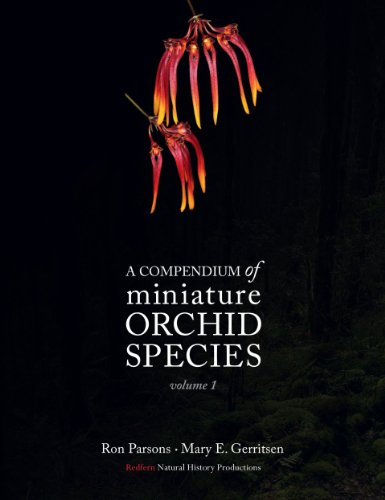 9781908787194: A Compendium of Miniature Orchid Species