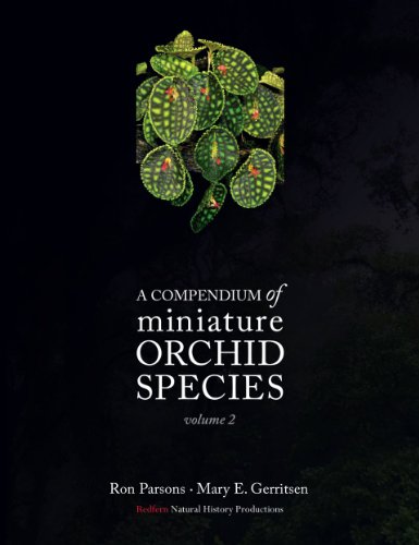 Stock image for A Compendium of Miniature Orchid Species Volume 2 for sale by Brused Books