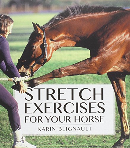 9781908809162: Stretch Exercises for Your Horse