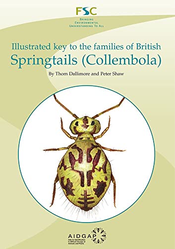 Imagen de archivo de Illustrated Key to the Families of British Springtails (Collembola) a la venta por Blackwell's