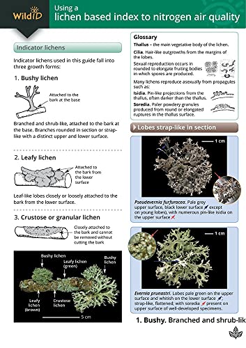 9781908819109: Guide to Using a Lichen Based Index to Nitrogen Air Quality