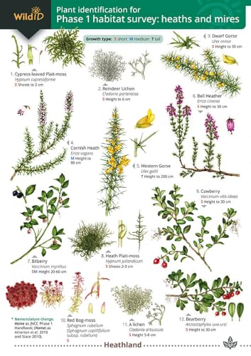 Stock image for Plant Identification for Phase 1 Habitat Survey for sale by Blackwell's