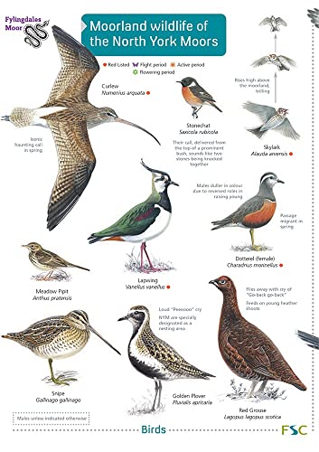 Beispielbild fr Moorland Wildlife of the North York Moors zum Verkauf von Blackwell's