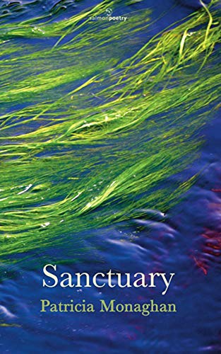 Beispielbild fr Sanctuary zum Verkauf von Blackwell's