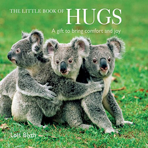 9781908862839: The Little Book of Hugs: A Gift to Bring Comfort and Joy
