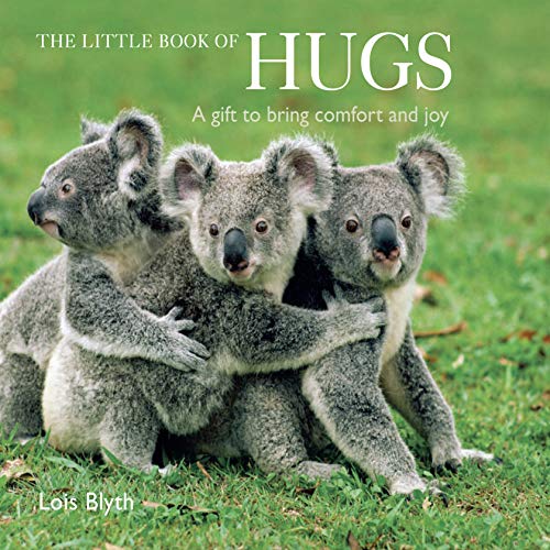 Stock image for The Little Book of Hugs : A Gift to Bring Comfort and Joy for sale by Better World Books: West