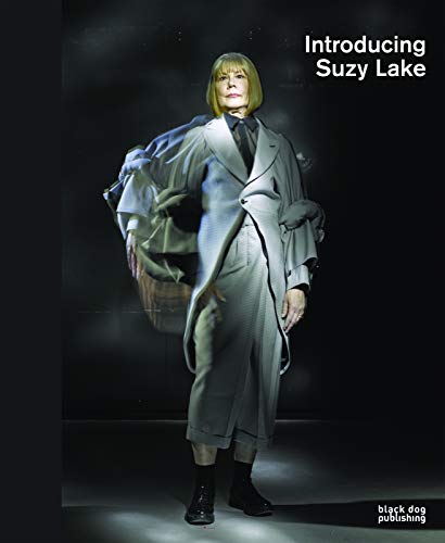 Stock image for INTRODUCING SUZY LAKE for sale by marvin granlund