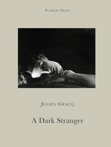 9781908968357: A Dark Stranger (Pushkin Collection)