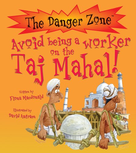 Imagen de archivo de Avoid Being a Worker on the Taj Mahal (The Danger Zone) a la venta por Pearlydewdrops