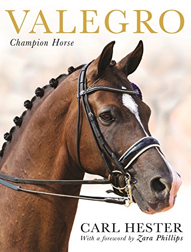 Immagine stock per Valegro: Champion Horse